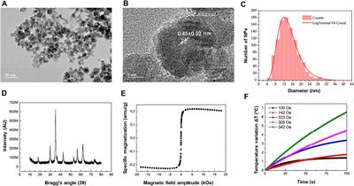 Folate-Targeted PEGylated Magnetoliposomes for Hyperthermia-Mediated Controlled Release of Doxorubicin